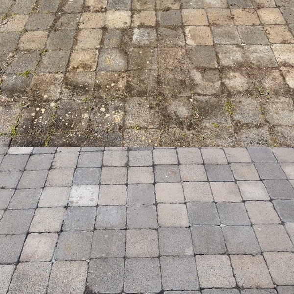 Concrete paving slabs with heavy weathering and moss in the joints