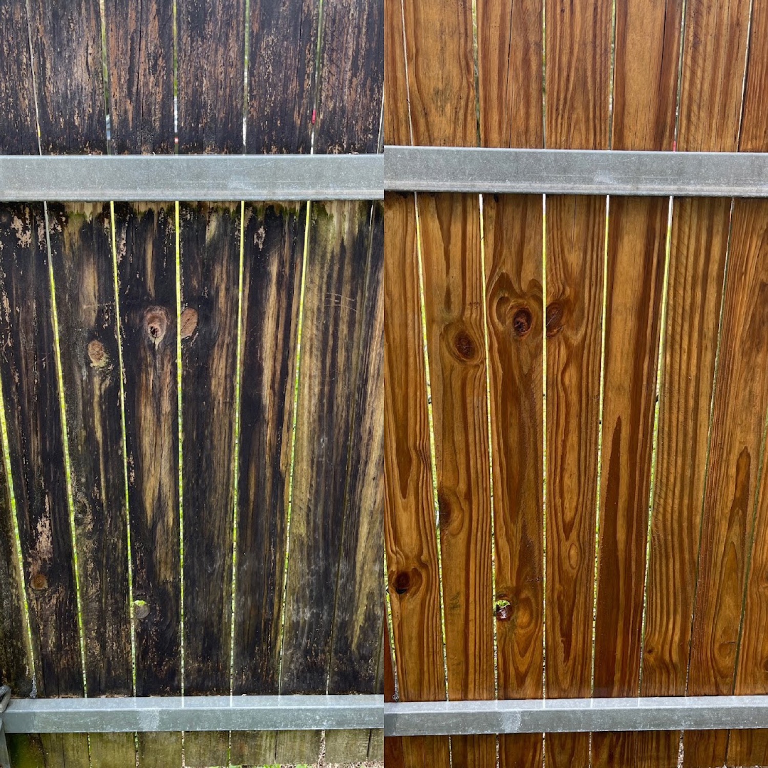 A timber paling fence with one half weathered grey and the next half washed to bare timber
