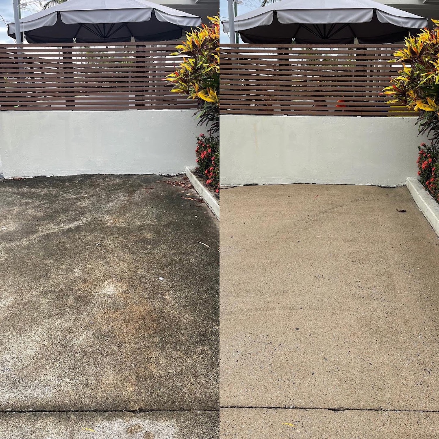 A concrete driveway photographed before and after cleaning beside a tropical courtyard