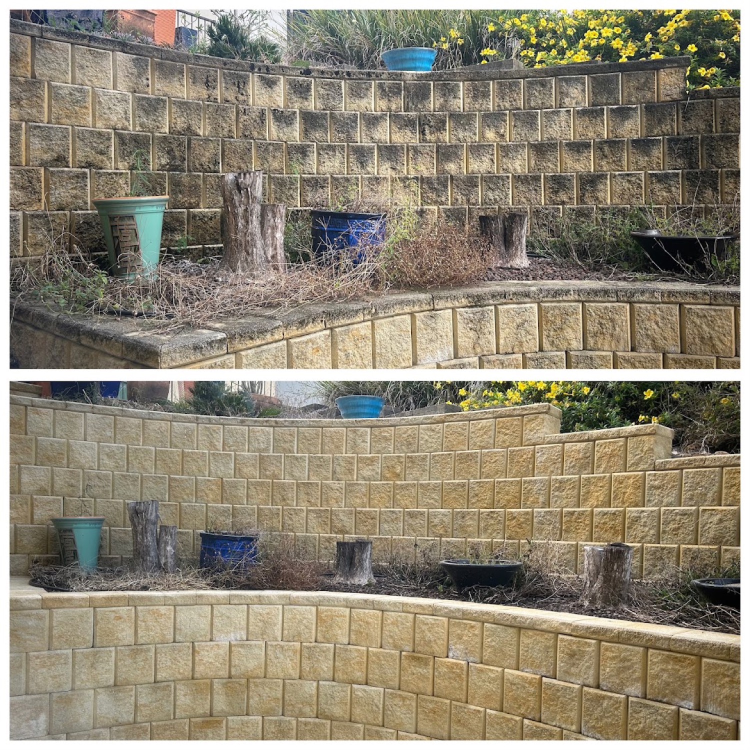 A block retaining wall photographed before and after cleaning