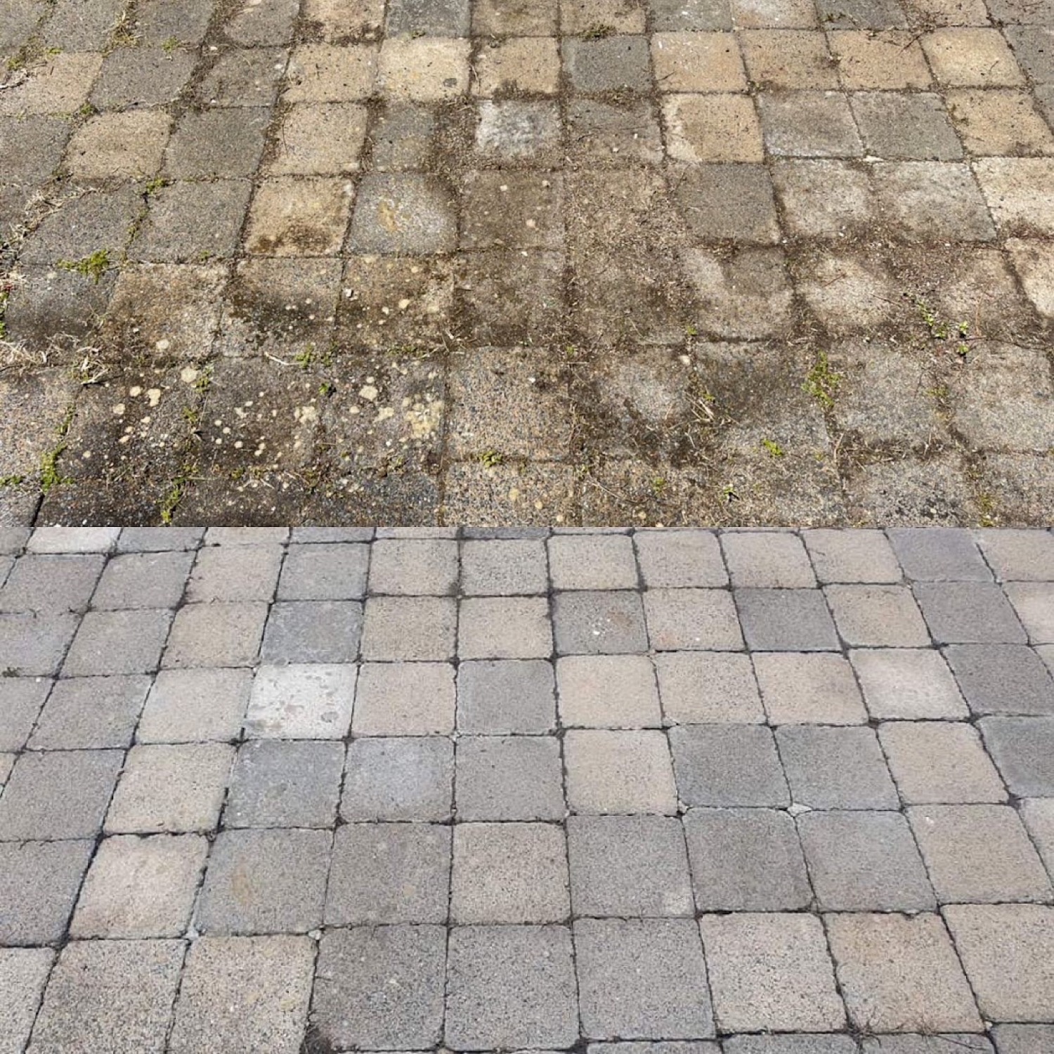 Concrete paving slabs with heavy weathering across the surface